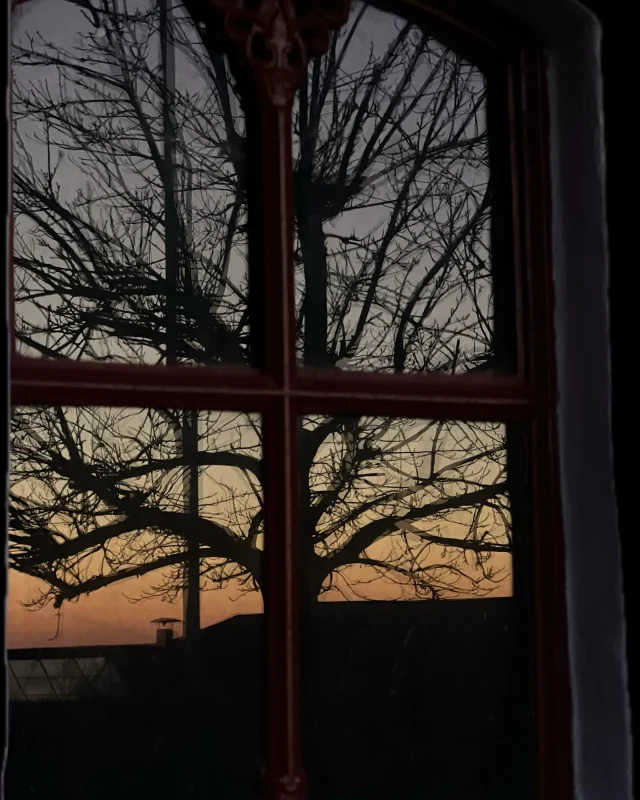Godmorgen fra @straagaarden_nyord. Vi glæder os til endnu en smuk dag på Nyord☀️☀️☀️ #nyord #bedandbreakfast #strågårdennyord #solopgang #ferie