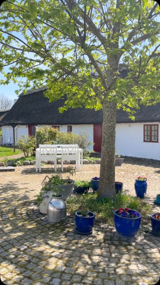 Så blev det 1. Maj og så fik jeg tidlig fri fra arbejde. Dejligt at have det meste af en dag fri i dette fantastiske solskinsvejr☀️☀️ Nyder I også det dejlige vejr?  #nyord #bedandbreakfast #møn #straagaarden_nyord #strågårdennyord #getaway